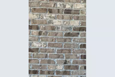 1869 Dalton Way, Hampton, GA 30228 - Photo 3