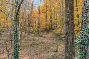 1273 Bernadette Ln NE, Atlanta, GA 30329 - Photo 49