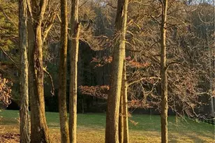 1654 A Ward Mountain Rd, Rome, GA 30161 - Photo 59