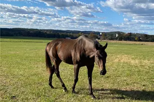 1654 A Ward Mountain Rd, Rome, GA 30161 - Photo 49