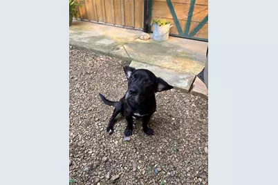 1654 A Ward Mountain Road, Rome, GA 30161 - Photo 53