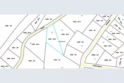 286 Lowry Street, Ball Ground, GA 30107 - Photo 23