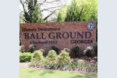 286 Lowry Street, Ball Ground, GA 30107 - Photo 25