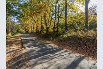 286 Lowry Street, Ball Ground, GA 30107 - Photo 1