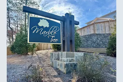 154 Marble Tree Way, Ball Ground, GA 30107 - Photo 35