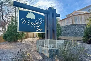 154 Marble Tree Wy, Ball Ground, GA 30107 - Photo 35