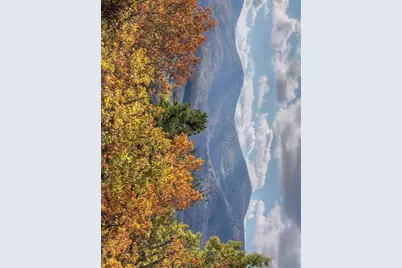 823 Arrant Road, Blairsville, GA 30512 - Photo 3