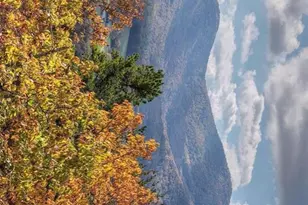 823 Arrant Rd, Blairsville, GA 30512 - Photo 3