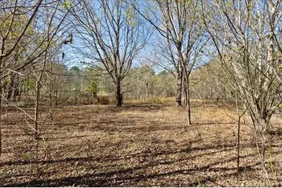 7141 Heardsville Road, Cumming, GA 30028 - Photo 11