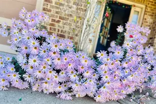 1615 Waverly Glen Dr, Alpharetta, GA 30004 - Photo 57