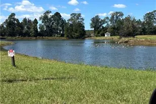 1964 Coney Rd, Vienna, GA 31092 - Photo 3