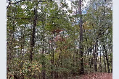 100 Valley View Drive NW, Cartersville, GA 30121 - Photo 9