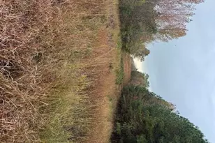 0 Moran Lake Rd, Rome, GA 30165 - Photo 1