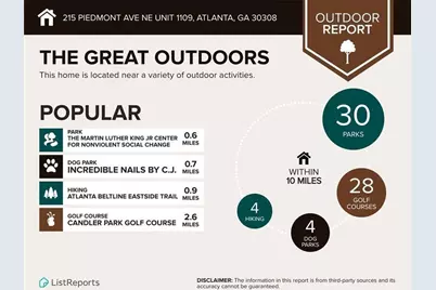 215 Piedmont Avenue NE #1109, Atlanta, GA 30308 - Photo 39