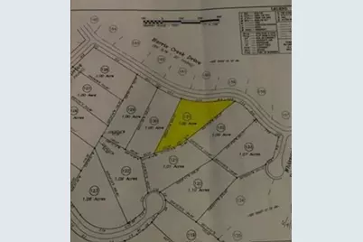 131 Harris Creek Drive, Ellijay, GA 30540 - Photo 3