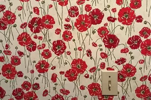 4155 Burnt Hickory Rd NW, Marietta, GA 30064 - Photo 5