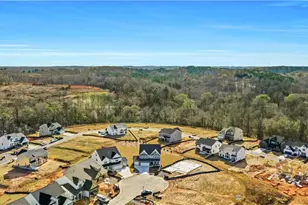 225 Coffee Ln, Hoschton, GA 30548 - Photo 67