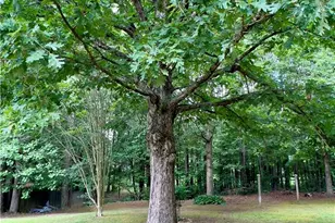 117 Wallace Way, Rockmart, GA 30153 - Photo 31