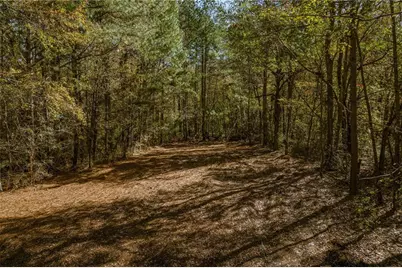 335 Wages Road, Auburn, GA 30011 - Photo 23