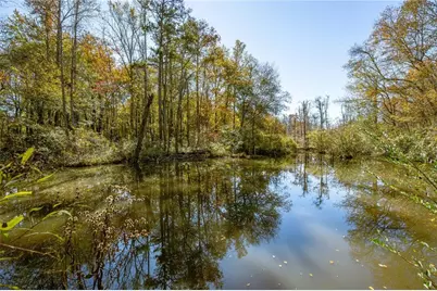 335 Wages Road, Auburn, GA 30011 - Photo 29