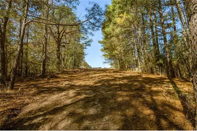 335 Wages Road, Auburn, GA 30011 - Photo 21