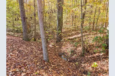 565 Brights Way, Dawsonville, GA 30534 - Photo 63