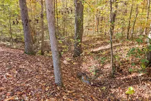 565 Brights Way, Dawsonville, GA 30534 - Photo 63