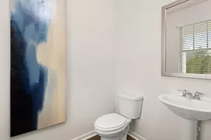 103 Cyrilla Walk, Dallas, GA 30132 - Photo 39