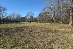 2053 Buttermilk Rd, Cave Spring, GA 30124 - Photo 61