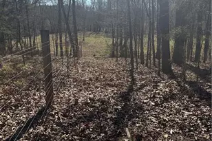 2053 Buttermilk Rd, Cave Spring, GA 30124 - Photo 59