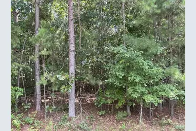 Tk 11 Old Ridgeway Road, Bremen, GA 30110 - Photo 3