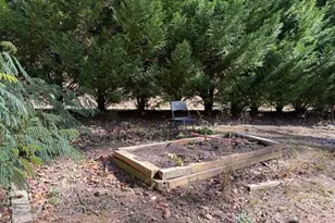 616 Gibson Trail, Jasper, GA 30143 - Photo 5