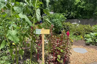 1031 State St NW, Atlanta, GA 30318 - Photo 19