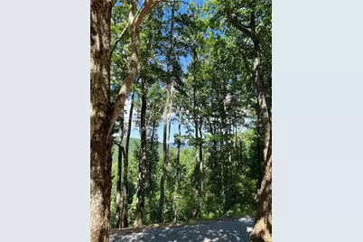 2046 Amy Creek Circle, Ellijay, GA 30540 - Photo 7