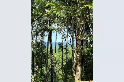 2046 Amy Creek Circle, Ellijay, GA 30540 - Photo 5