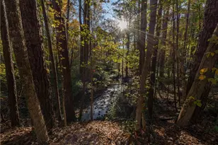 479 Bradshaw Ln, Canton, GA 30115 - Photo 45