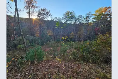 84 Spiva Cove Mtn. Trail, Blairsville, GA 30512 - Photo 17