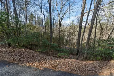 84 Spiva Cove Mtn. Trail, Blairsville, GA 30512 - Photo 11