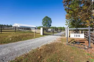 125 Perry Rd, Rydal, GA 30171 - Photo 139