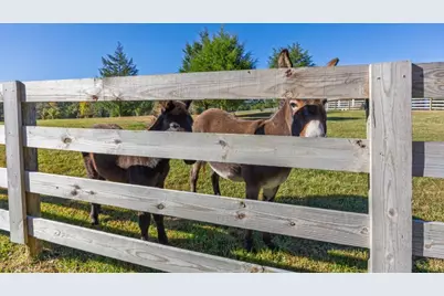 125 Perry Road, Rydal, GA 30171 - Photo 133