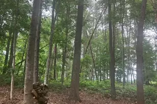 647 Philadelphia Dr, Jasper, GA 30143 - Photo 61