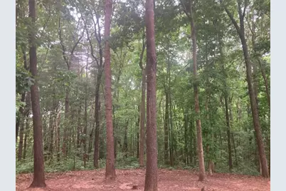 647 Philadelphia Drive, Jasper, GA 30143 - Photo 59