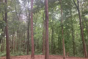 647 Philadelphia Dr, Jasper, GA 30143 - Photo 59