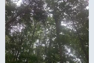 647 Philadelphia Drive, Jasper, GA 30143 - Photo 57