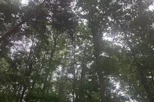 647 Philadelphia Dr, Jasper, GA 30143 - Photo 57