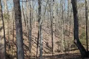 3216 Boulder Brook Dr, Lithonia, GA 30038 - Photo 1