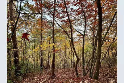 526 Fedorak Court, Ranger, GA 30734 - Photo 5