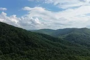 93 Bear Track Trail, Morganton, GA 30560 - Photo 3