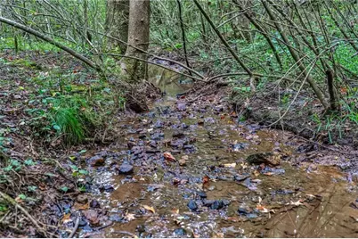 00 Borrow Pit Road, Douglasville, GA 30134 - Photo 5