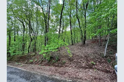 0 Valley View Drive, Jasper, GA 30143 - Photo 3